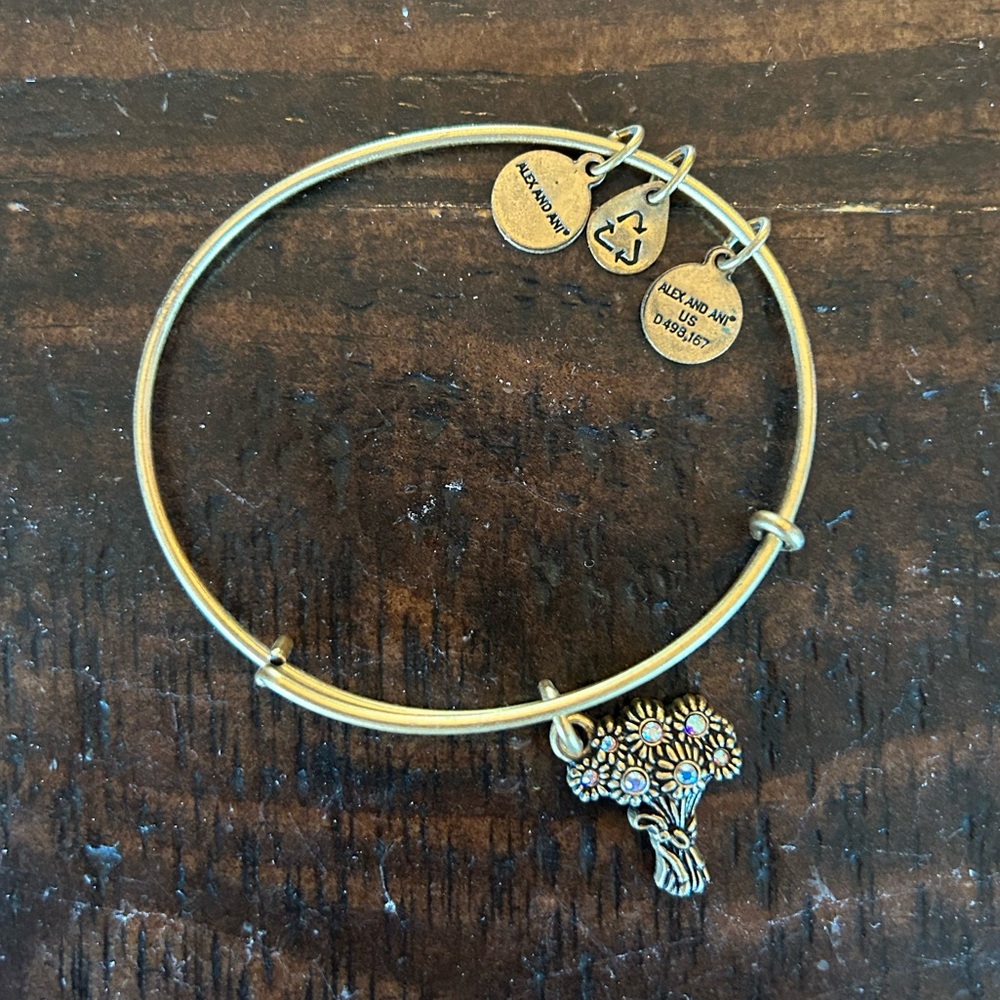 ALEX AND ANI I Pick You Charm Bangle